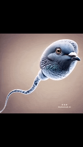 Sigeon Pex GIF. This 281 x 498 animated GIF is part of our funny pigeon collection. Related themes include funny. Created by niks323. View the original…