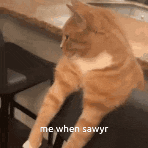 Sigma GIF