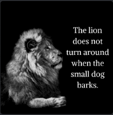 Sigma Lions Meme