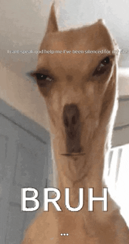 Silence GIF
