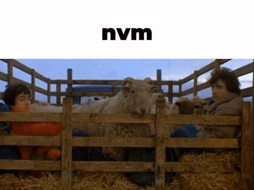 Silly An American Werewolf In London GIF