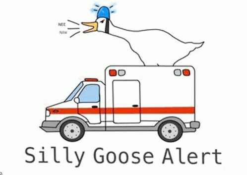 Silly Goose GIF