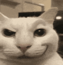 Silly GIF