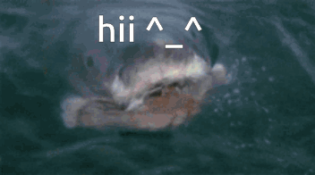 Silly Hi GIF