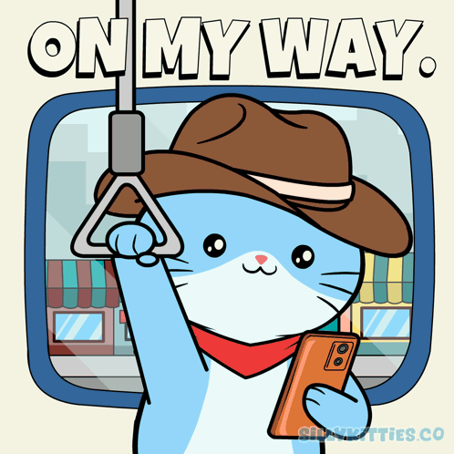 Silly Kitties Silly Cat GIF
