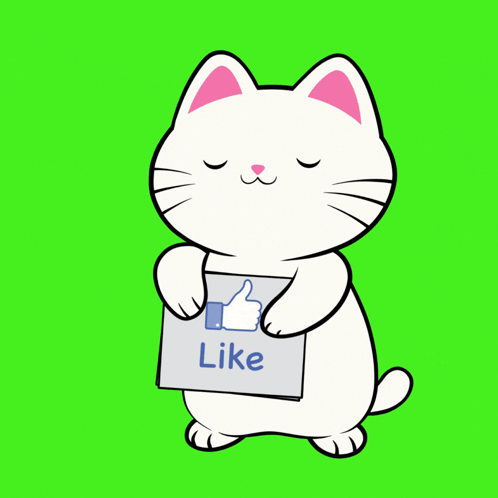 Silly Kitties Sillykittiesco GIF. This 498 x 498 animated GIF is part of our suscribete collection. Related themes include cute cat, subscribe button…