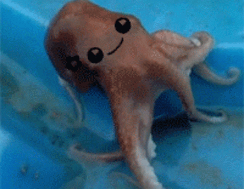 Silly Octopus GIF