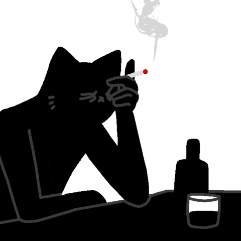 Sillynubs Cat GIF