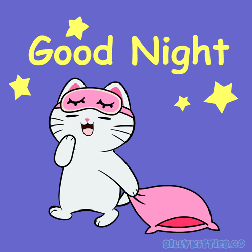 Silylkitties Sillkittiesco GIF