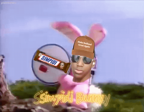 Simpi Leonardo Da Simpi GIF