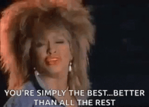Simply The Best Tina Turner GIF
