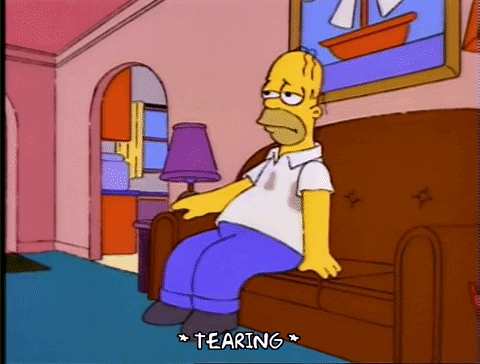 Simpson Homer GIF