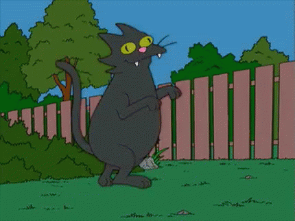 Simpsons Cat GIF. This 430 x 322 animated GIF is part of our simpsons crazy cat lady collection. Related themes include cat, dance. View the original…