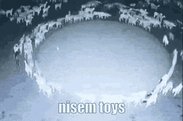 Sinew Dooly GIF