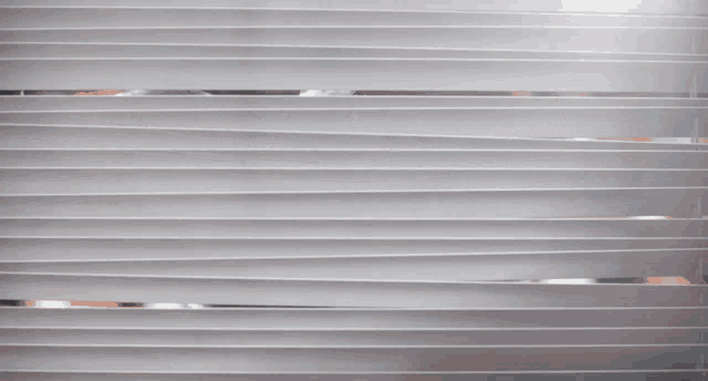 Sing Movie GIF