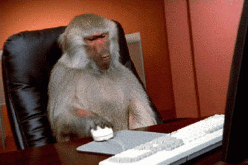 Singe Monkey GIF