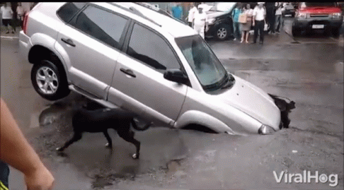 Sinkhole Pothole GIF. This 498 x 275 animated GIF is part of our sinkhole collection. Created by ViralHog. View the original animation, share it, or browse…