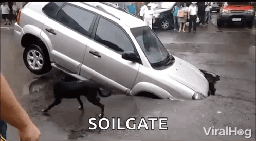 Sinkhole Pothole GIF. This 498 x 276 animated GIF is part of our sinkhole collection. Created by pabco. View the original animation, share it, or browse…