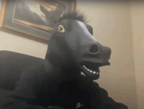 Sir Horse GIF