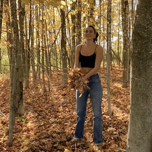 Sisi Brave Sierra Brave GIF. This 498 x 498 animated GIF is part of our folhas de outono caindo collection. Related themes include autumn, fall. Created by…