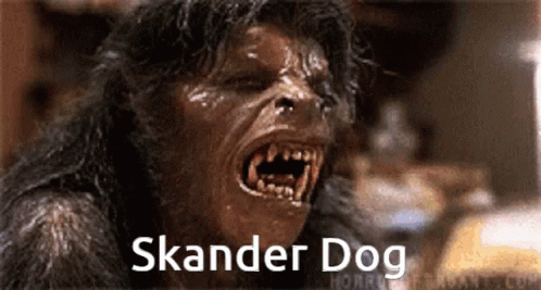 Skander Dinostan GIF