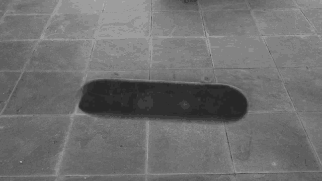 Skate Rotating GIF