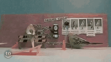 Skateboarding Cool GIF