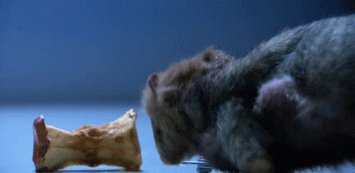 Skaven Rat GIF