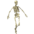 Skeleton Charborg Sticker