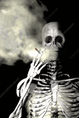 Skeleton Dance Meme