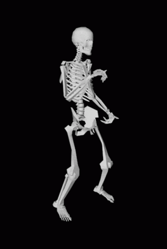 Skeleton Dancing Skeleton GIF