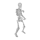 Skeleton Esqueleto Sticker