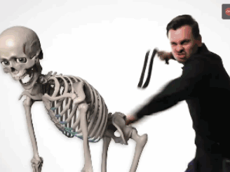 Skeleton Meme GIF