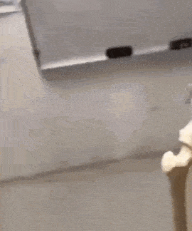 Skeleton Mewing GIF