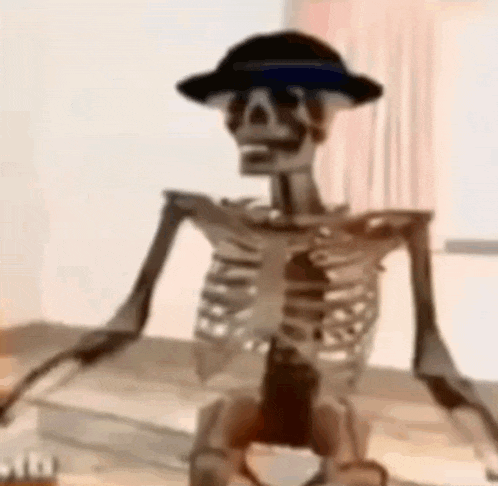 Skeleton Skeleton Meme GIF