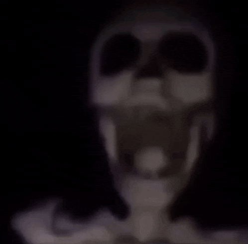 Skeleton Skeleton Meme GIF