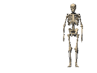 Skeleton Skeleton Meme Sticker