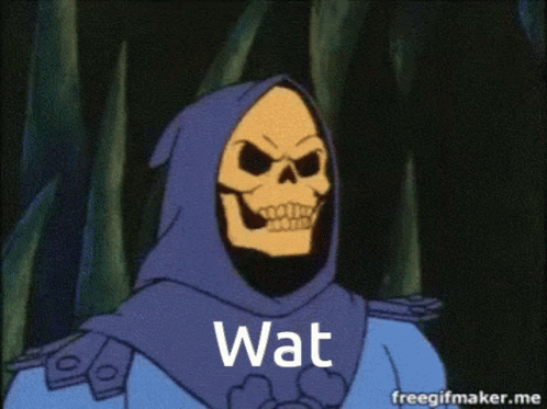 Skeletor Wat GIF