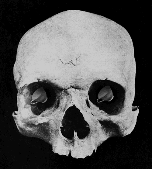 Skull Eyes GIF