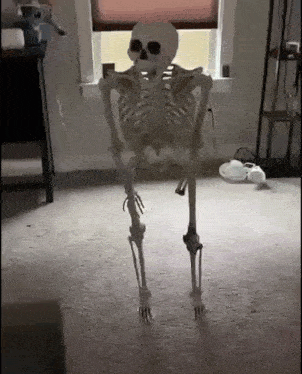 Skull Fall GIF