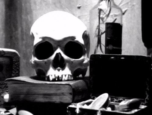 Skull Human-skull-prop GIF