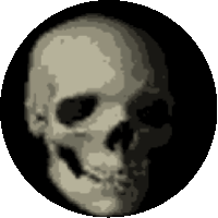 Skull Sticker