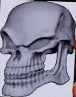 Skull Meme