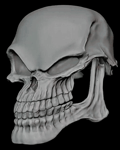 Skull Skull Meme GIF