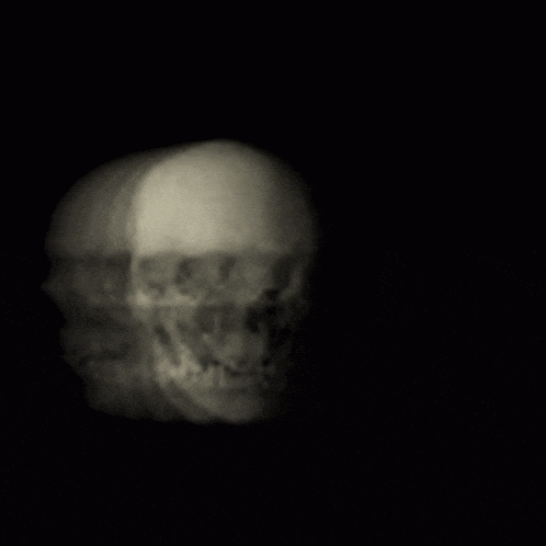Skull Spinning Skull GIF