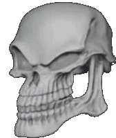 Skull Sticker