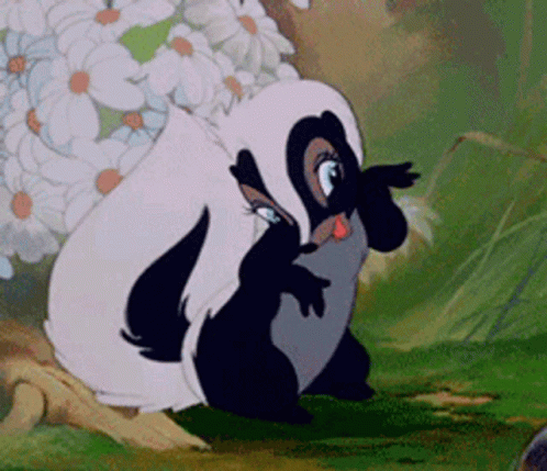 Skunk Skunks GIF