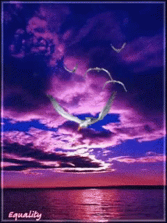 Sky Birds GIF