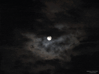 Sky Mmon GIF