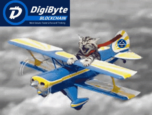 Sky Plane GIF. This 498 x 378 animated GIF is part of our funny airplane collection. Related themes include cat, crypto, doge. Created by lifesabatch. View…